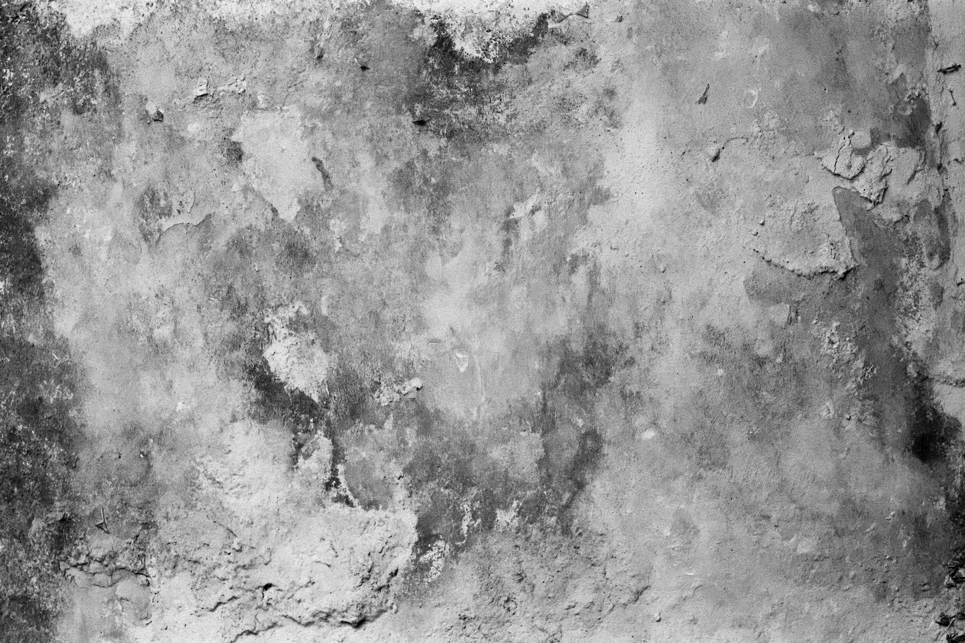 Weathered concrete wall surface filling the frame with cracks and peeling texture