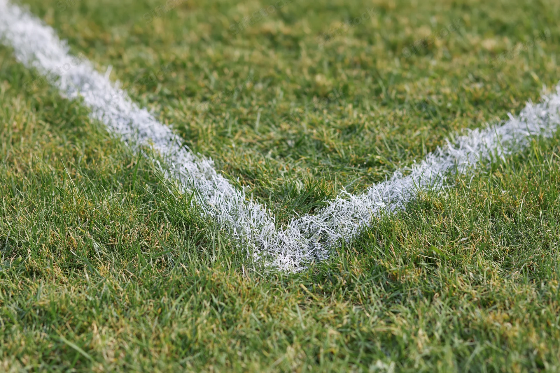 White painted boundary lines intersecting at a corner on a grass sports field