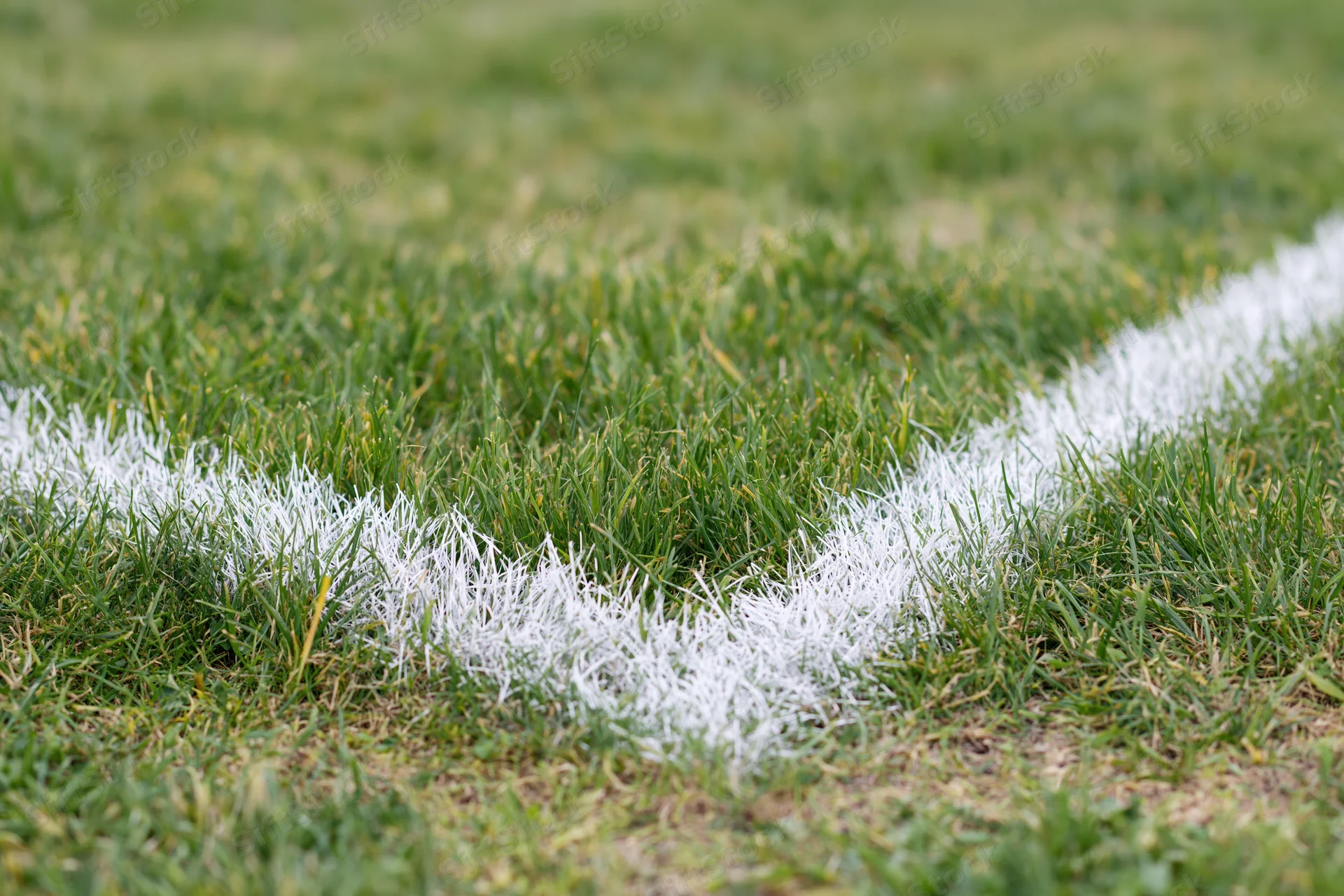 White painted boundary lines intersecting at a corner on a grass sports field