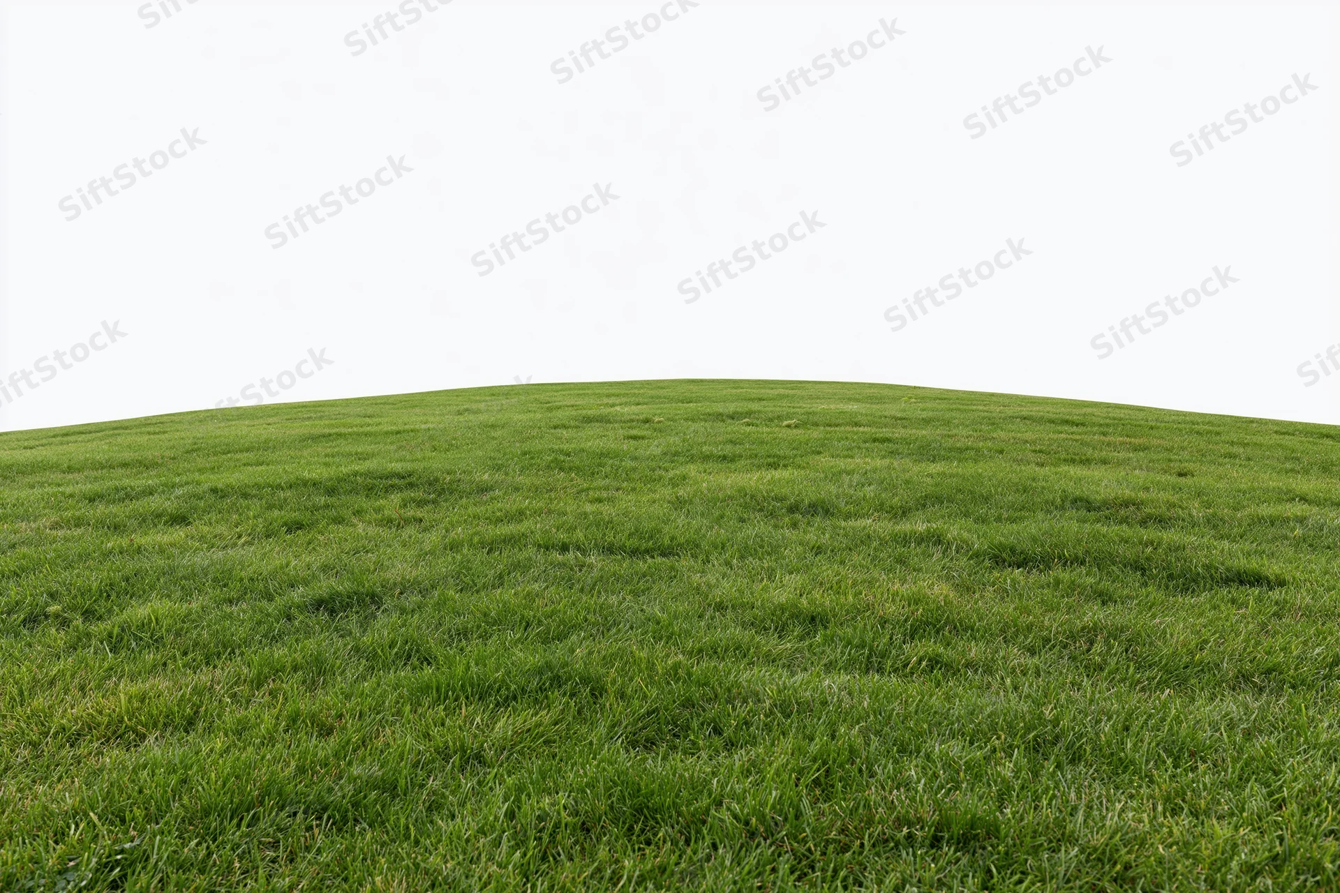Neatly trimmed green grass field rising into a gentle slope under an open sky