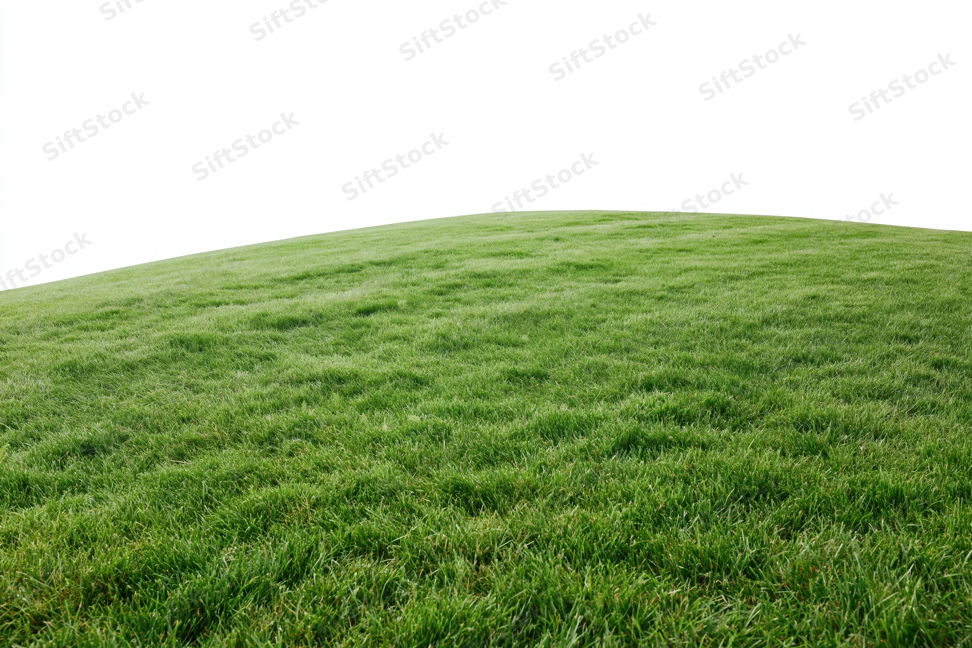 Neatly trimmed green grass field rising into a gentle slope under open sky