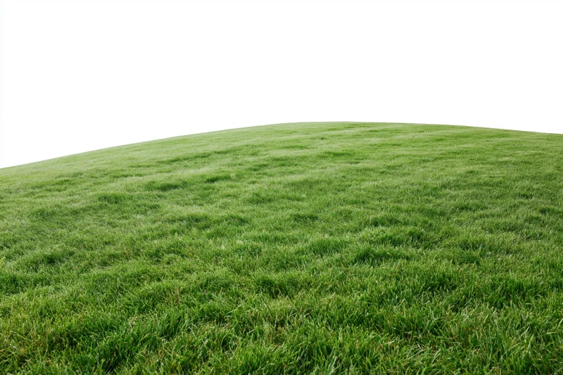Wide low-angle shot of a neatly trimmed green grass field