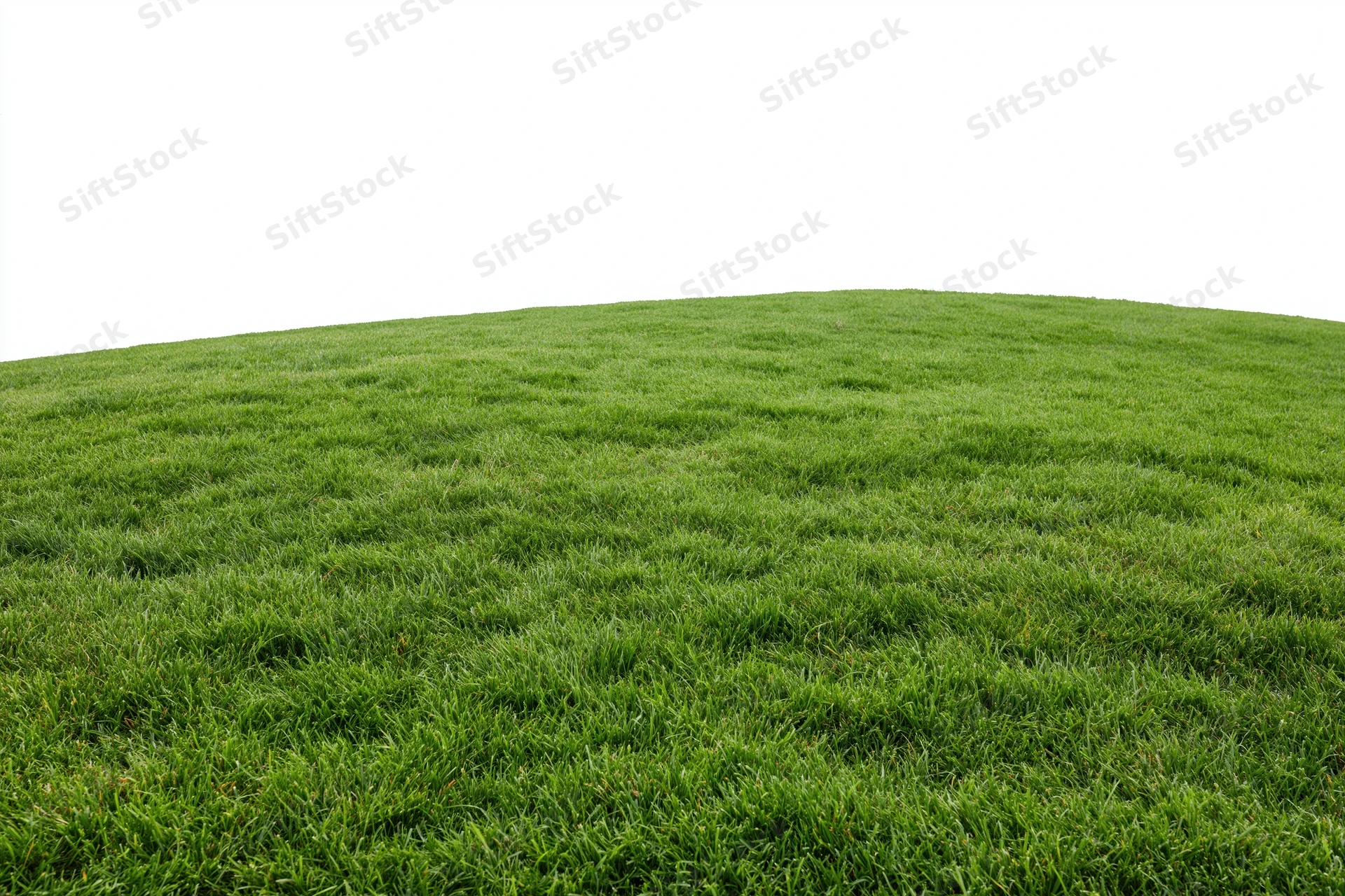 Neatly trimmed green grass field sloping upward under bright light