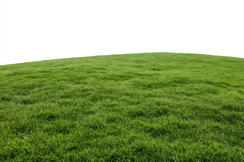 Neatly trimmed green grass field sloping upward under bright light
