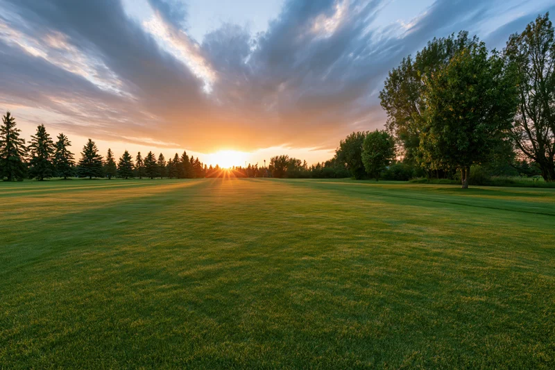Wide open golf course fairway at sunset with low sun bursting through trees on horizon