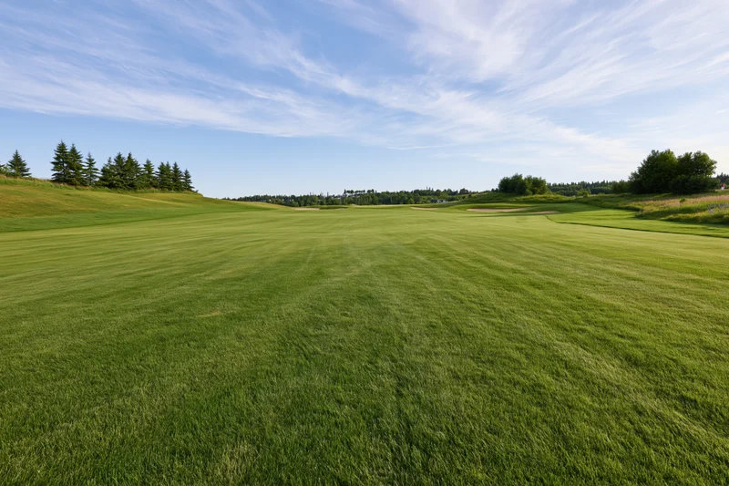 Wide open golf course fairway with mowed grass and scattered trees under a clear blue sky on a sunny summer day