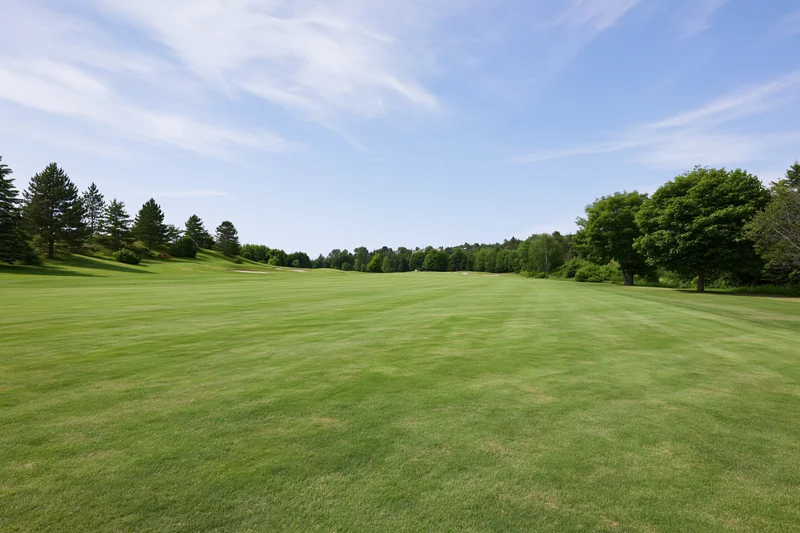 Wide open golf course fairway with mowed grass and trees under a clear blue sky on a summer day