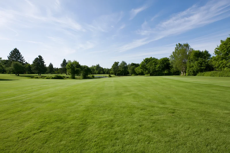 Wide open golf course fairway with mowed grass and trees under a clear blue sky on a sunny summer day