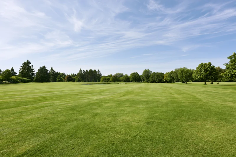 Wide open golf course fairway with mowed grass and trees under clear blue sky on a summer day