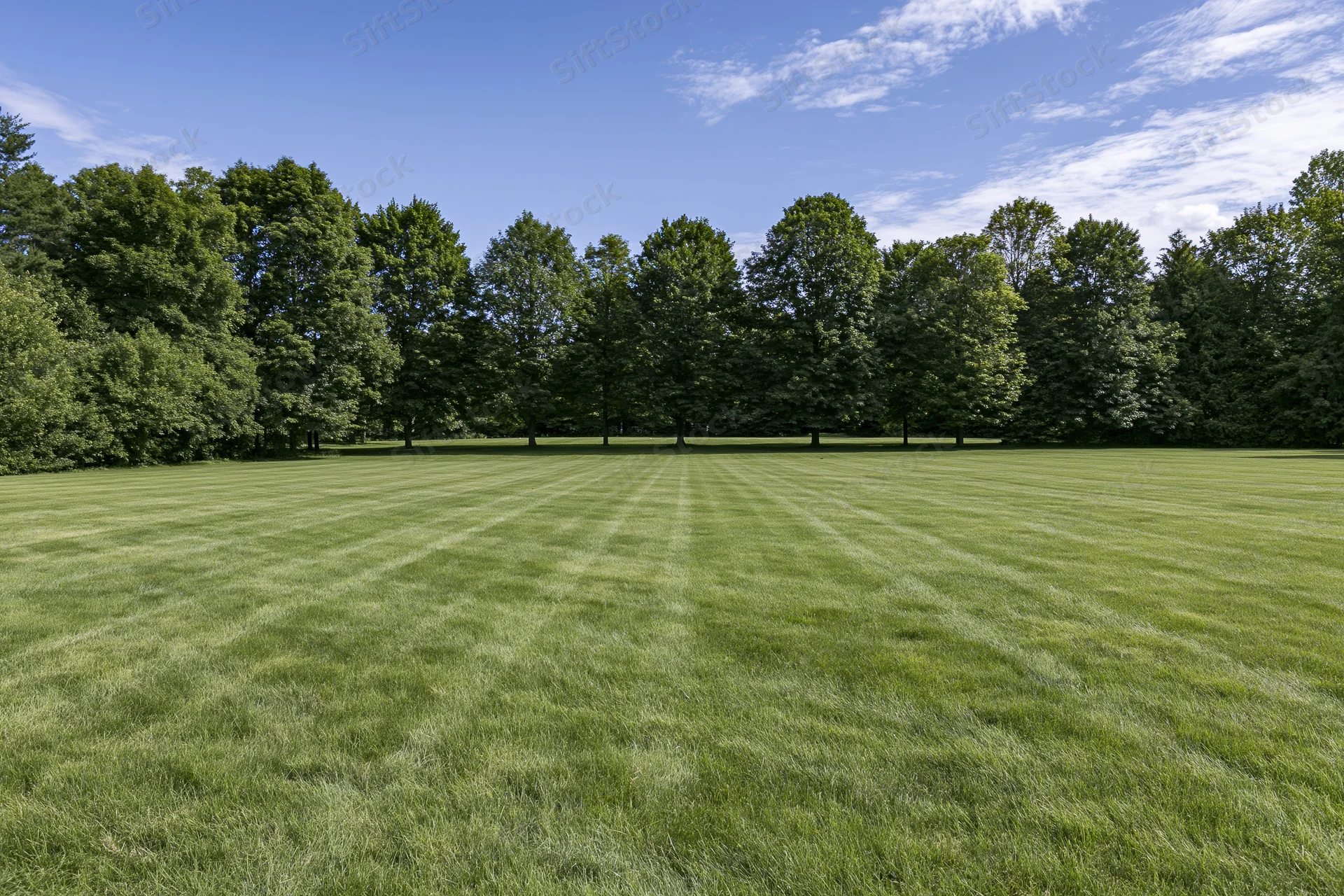 Wide mowed lawn with striped grass pattern bordered by trees under a blue sky