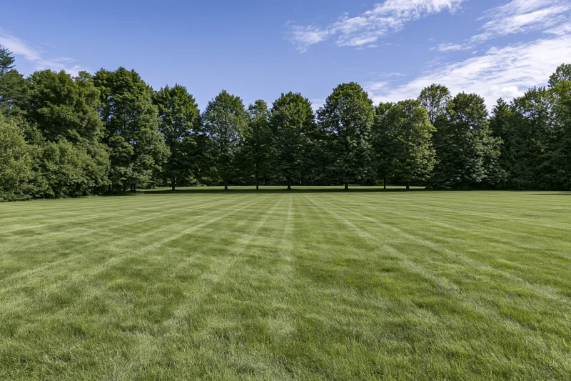 Wide mowed lawn with striped grass pattern bordered by trees under a blue sky