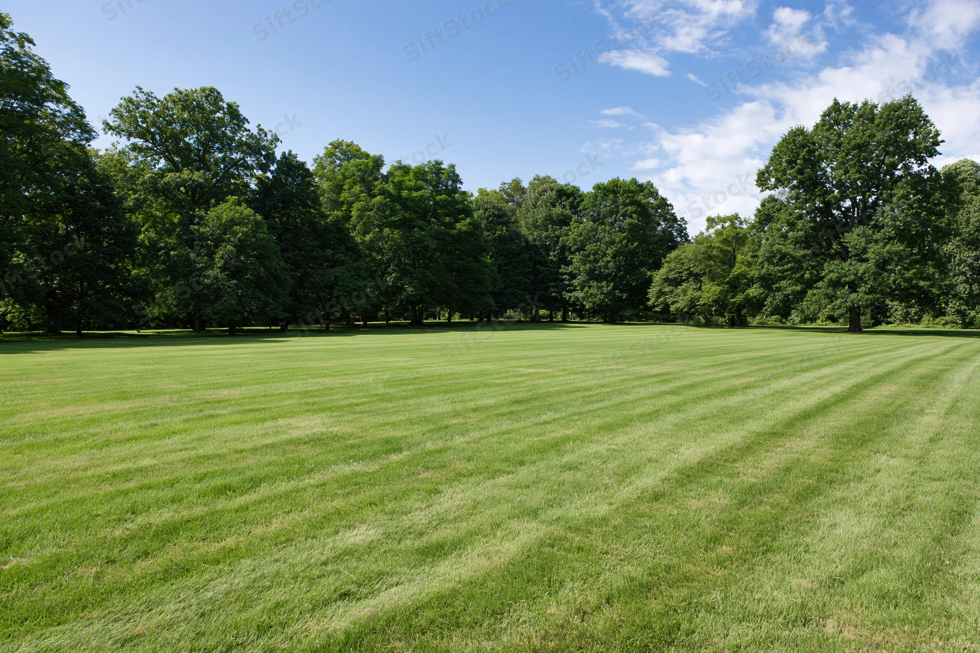 Wide open mowed lawn with striped grass pattern bordered by trees under blue sky