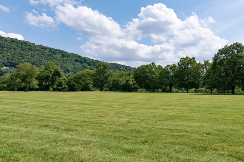 Wide open park lawn with neatly trimmed grass stretching to a tree-lined hill under a blue sky with white clouds