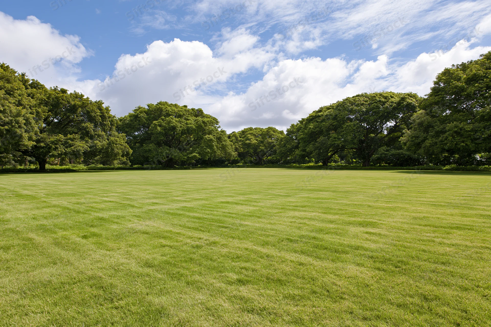 Wide open park lawn stretching toward a tree line under a blue sky with scattered clouds