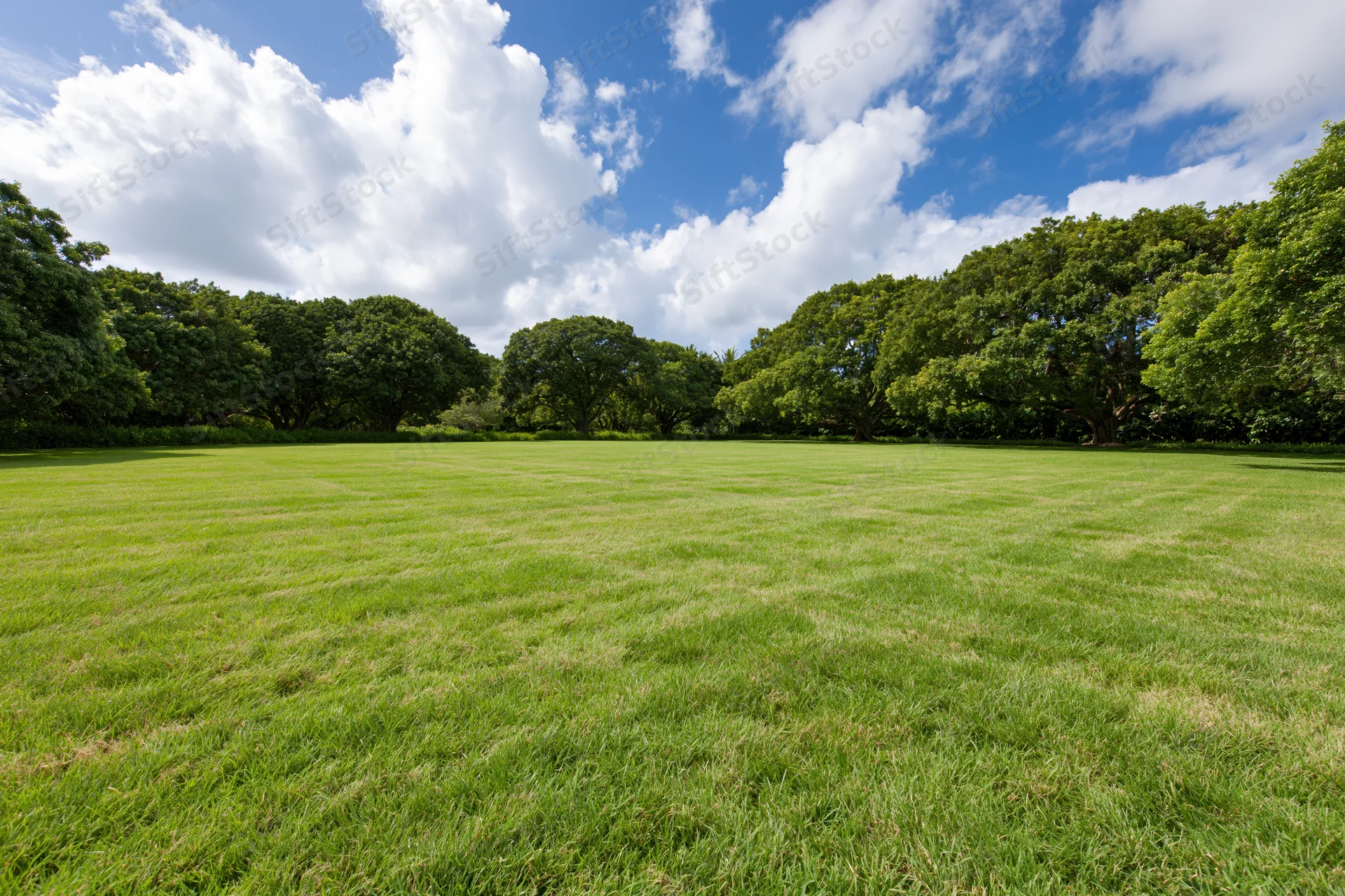Wide open mowed lawn stretching toward a tree line in a public park under a blue sky with clouds