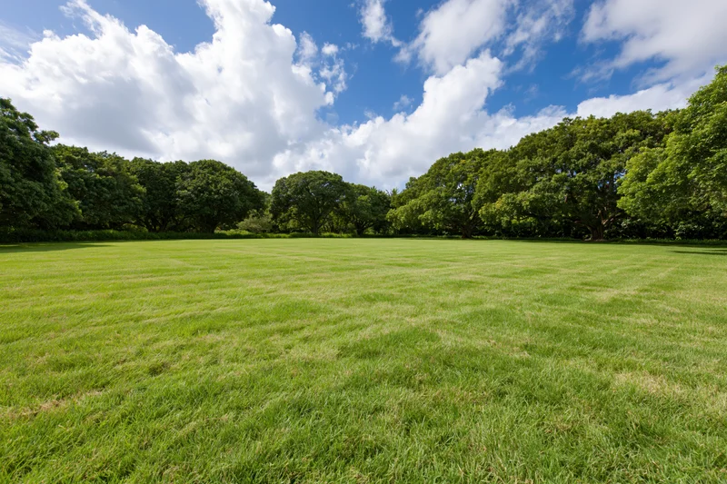 Wide open mowed lawn stretching toward a tree line in a public park under a blue sky with clouds