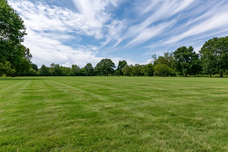 Broad flat green lawn stretching toward a line of trees under a blue sky with wispy clouds in a public park