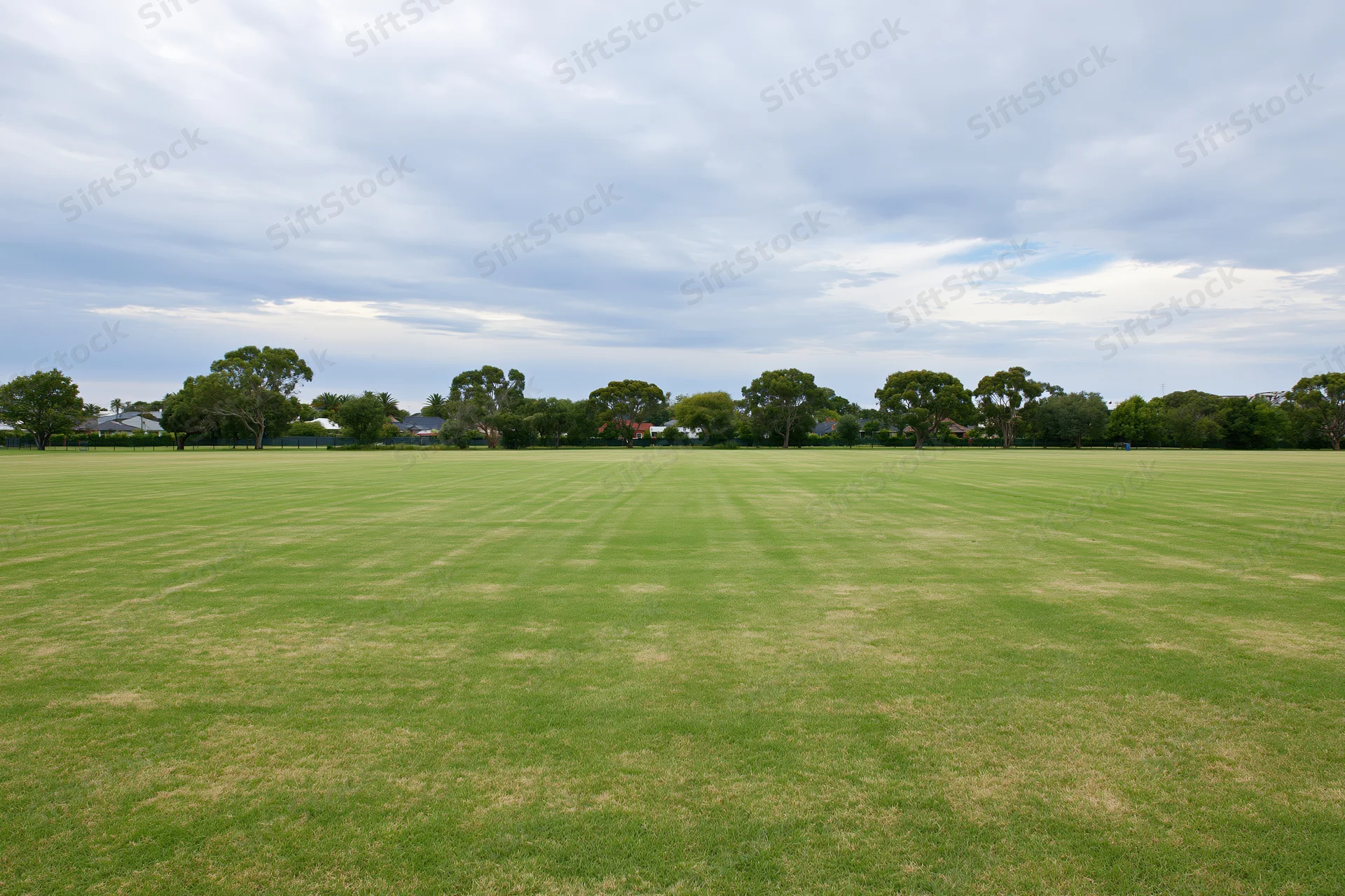 Wide open suburban oval with flat mown grass stretching to a tree-lined horizon under an overcast sky