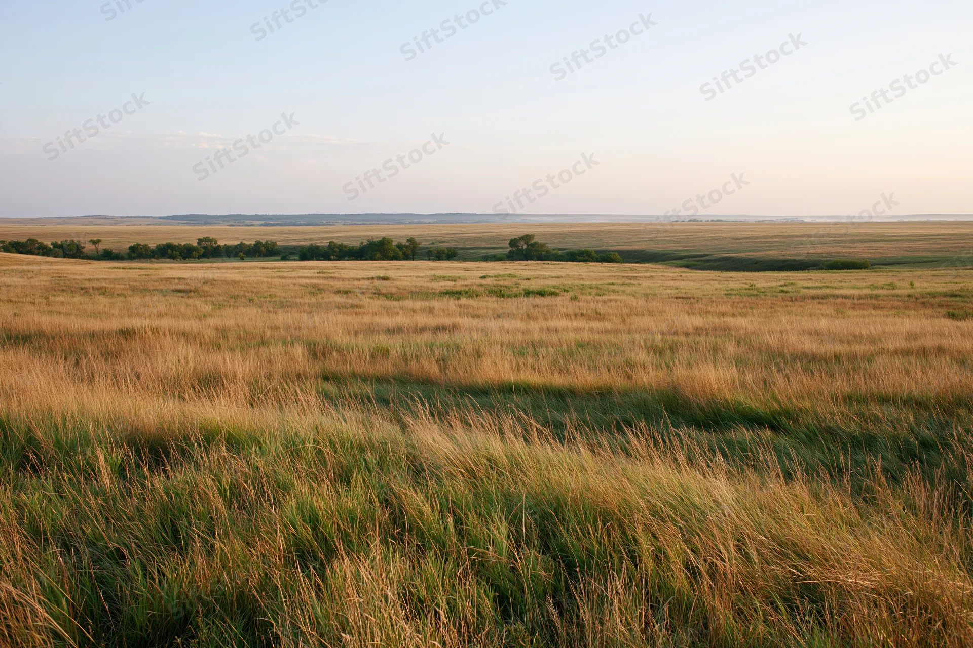 Tallgrass prairie stretching across rolling hills under a clear sky