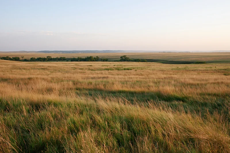 Tallgrass prairie stretching across rolling hills under a clear sky