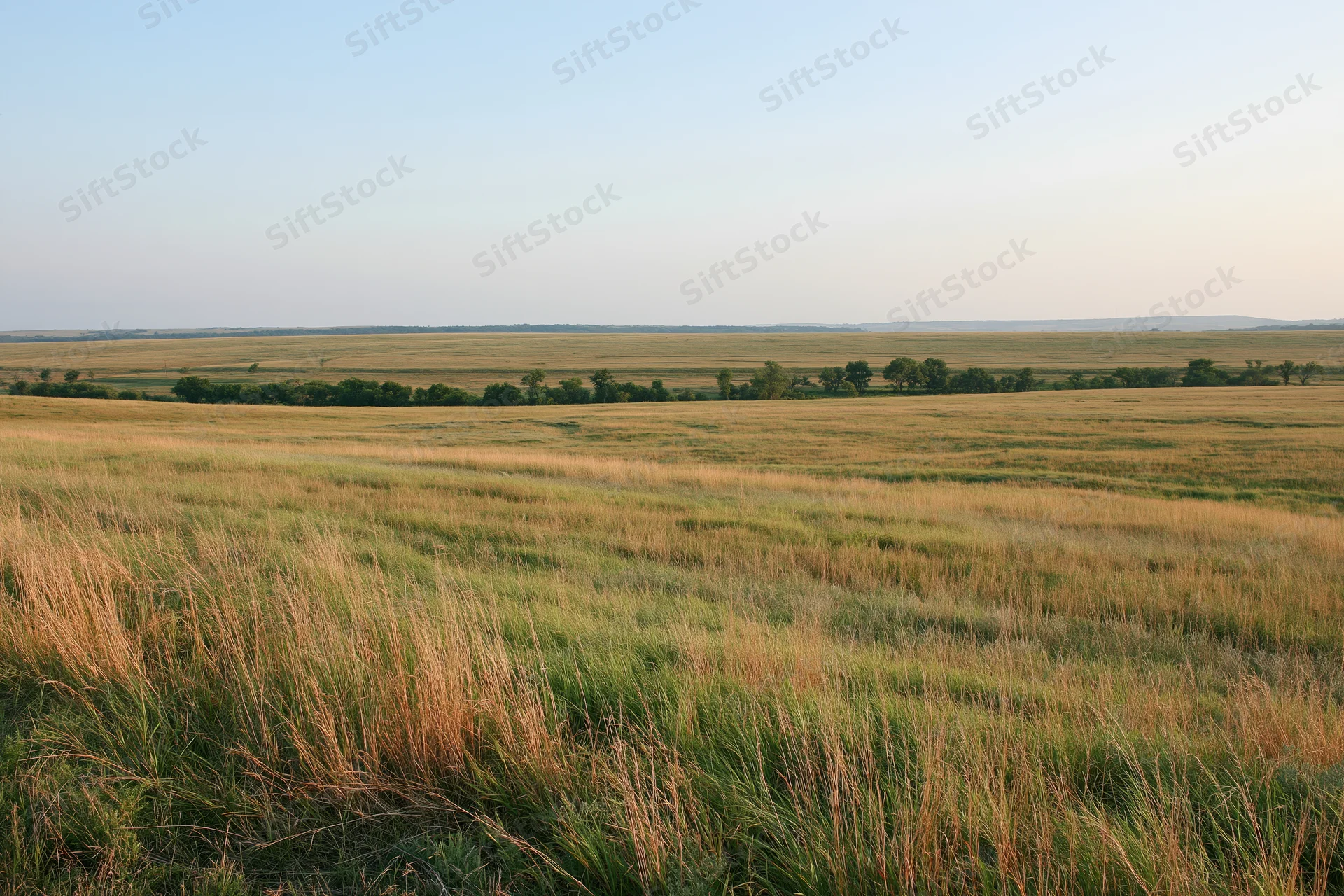 Tallgrass prairie stretching across rolling hills under a clear sky