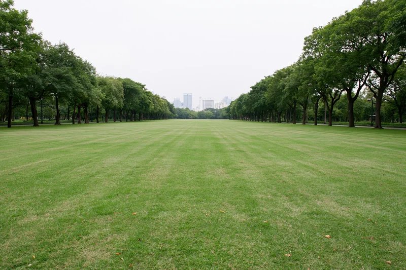 Wide open urban park lawn stretching toward distant city skyline