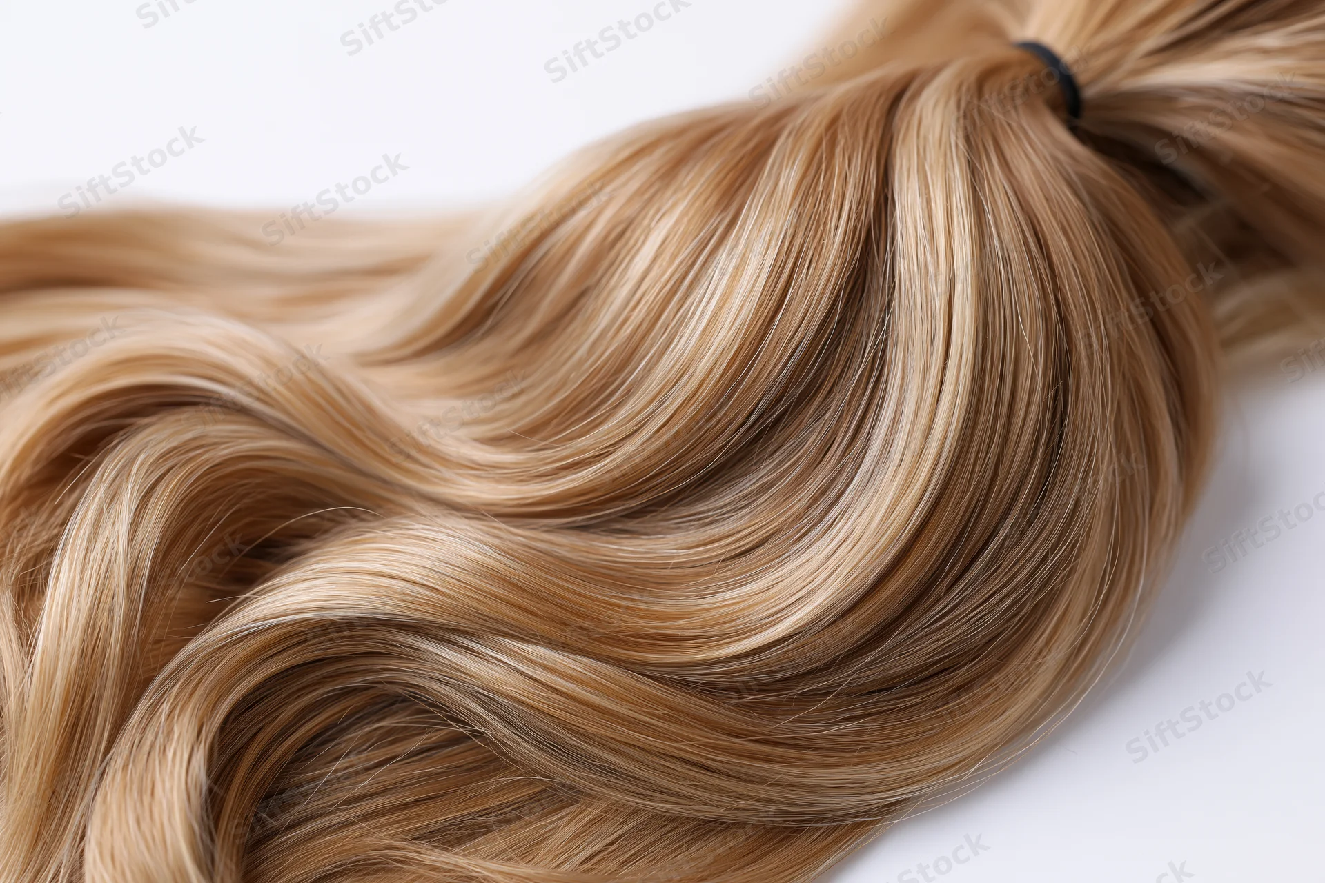 Wavy light brown human hair ponytail tied with black hair tie on white background