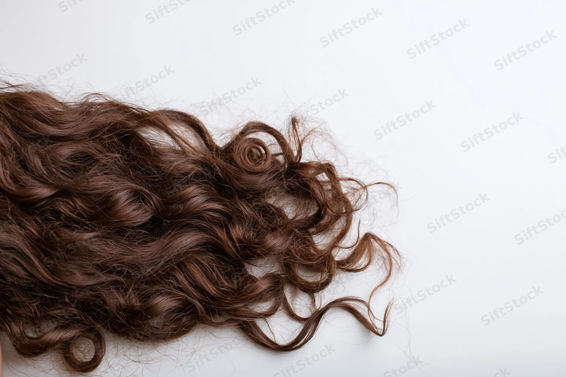 Detached clump of long curly dark brown hair lying on a plain white surface