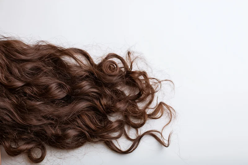 Detached clump of long curly dark brown hair lying on a plain white surface