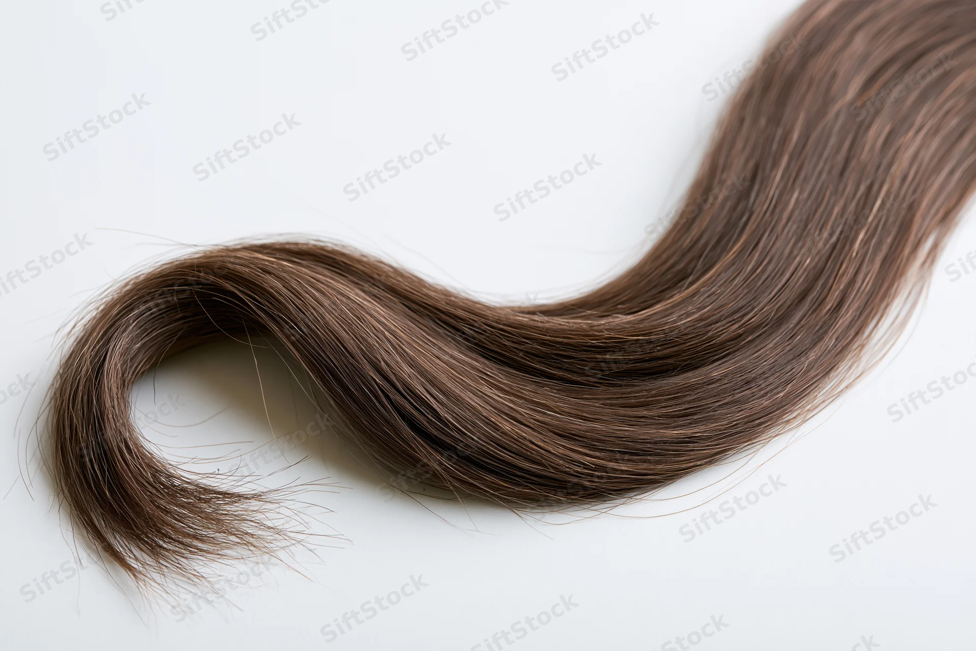 A loose curl of dark brown human hair forming an s-shape on a white surface