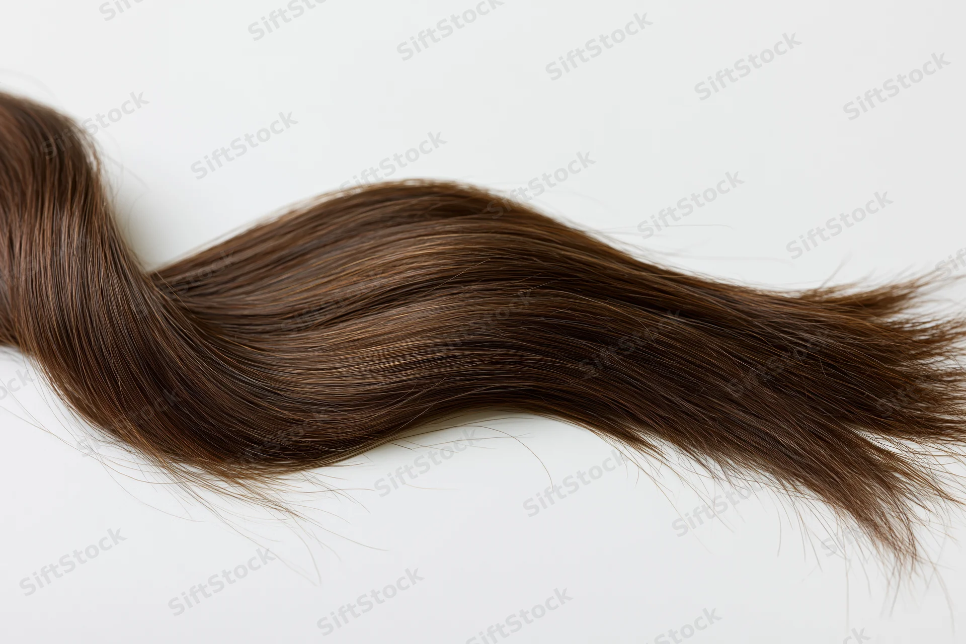 A loose curl of dark brown human hair forming an s-curve on a white background