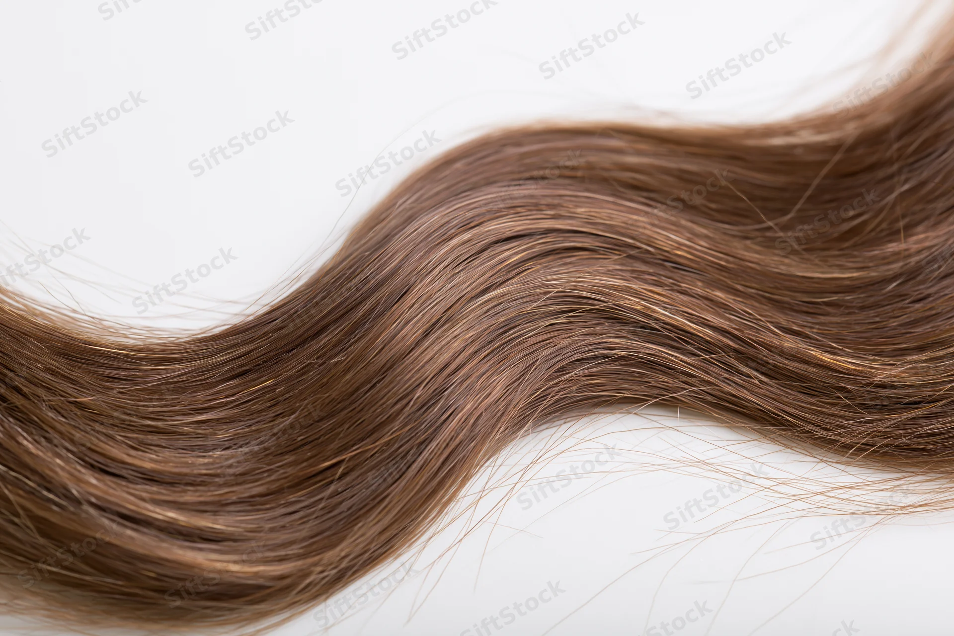 A loose strand of long brown wavy hair with natural highlights on a white background