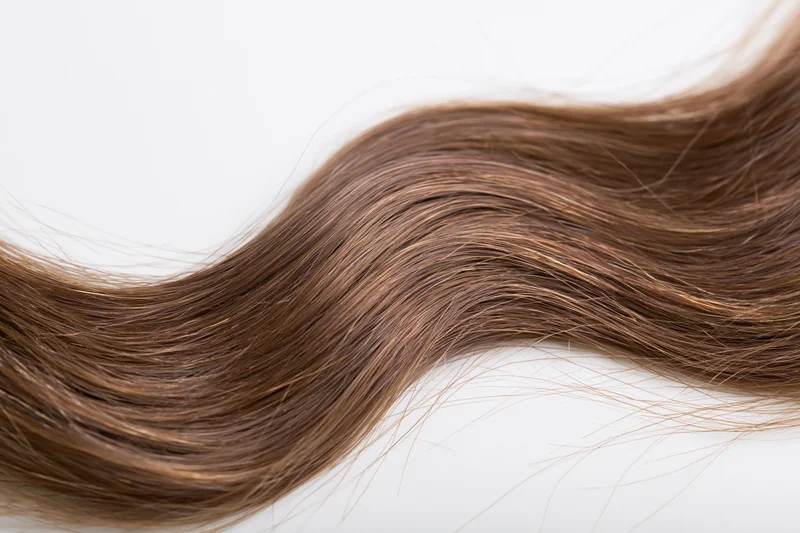 A loose strand of long brown wavy hair with natural highlights on a white background