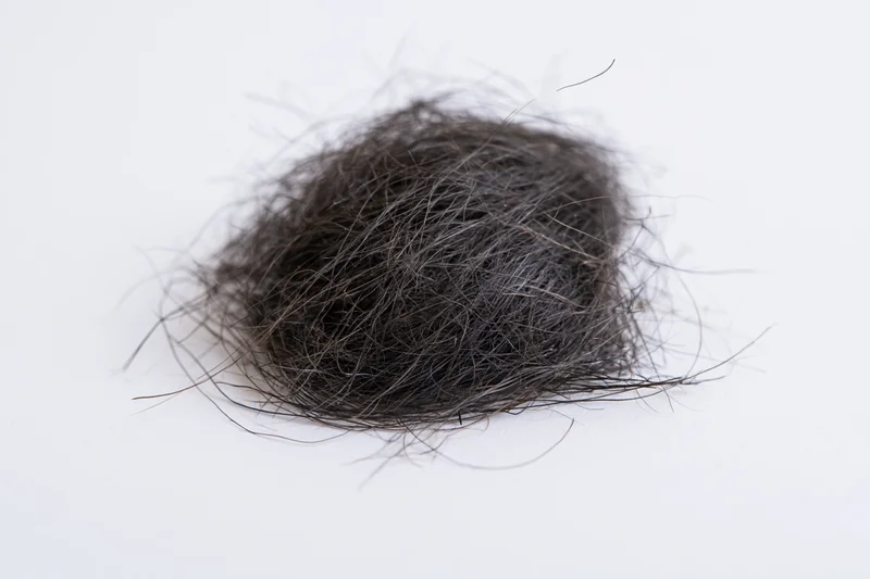 Tangled clump of shed dark human hair resting on white surface