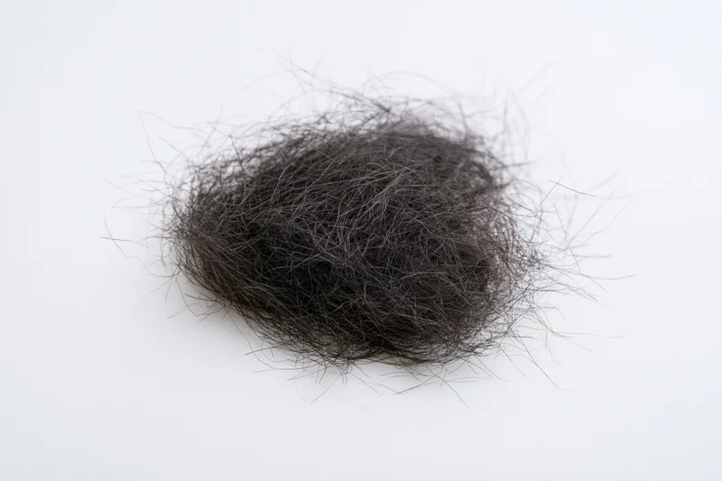 Tangled clump of shed dark human hair resting flat on white surface