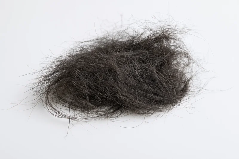 A tangled clump of shed dark human hair resting flat on a white surface