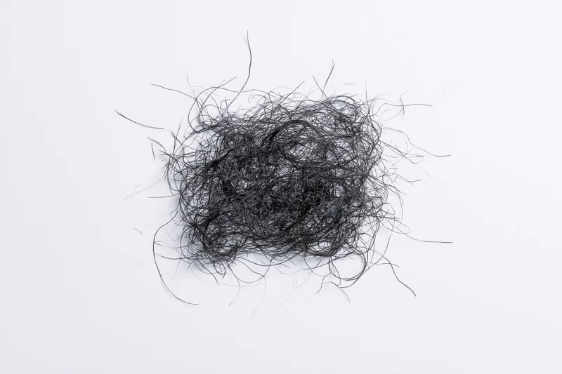 Tangled mass of fine dark hair strands scattered on white surface
