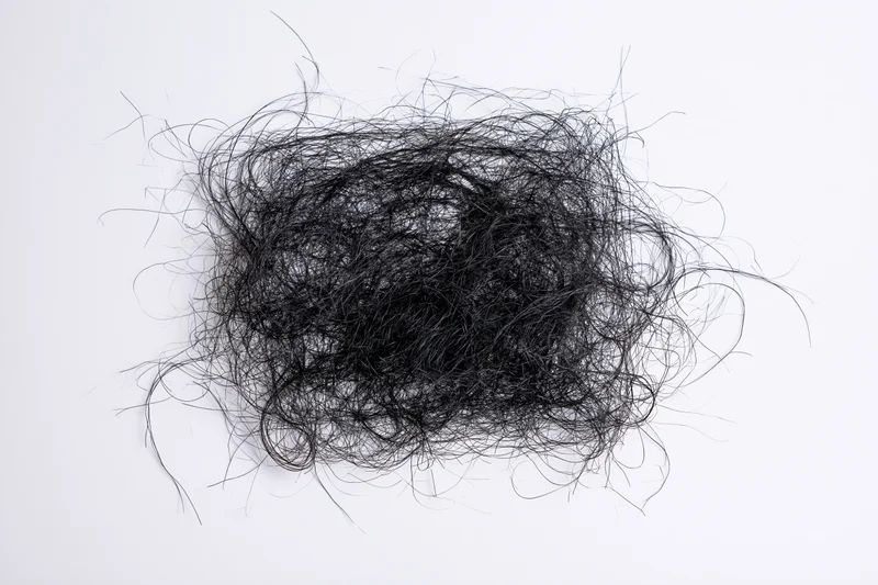 Tangled mass of fine dark hair strands scattered on white surface