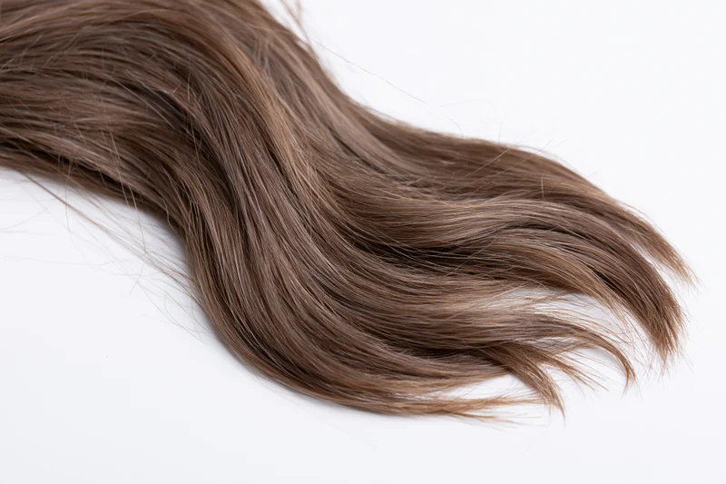 Loose wavy lock of dark ash brown human hair lying flat on white background