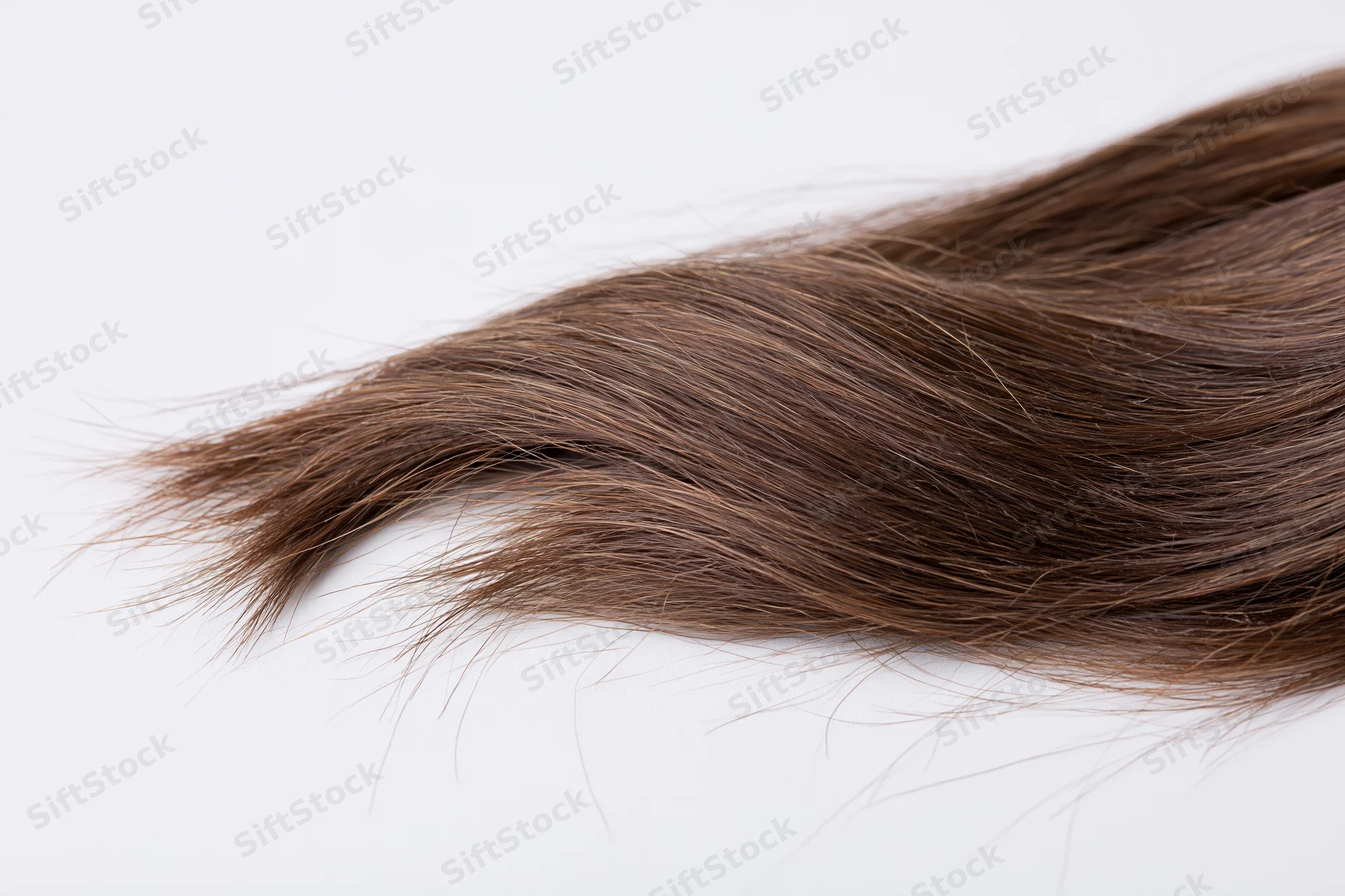 Loose wavy lock of dark ash brown human hair lying flat on white background