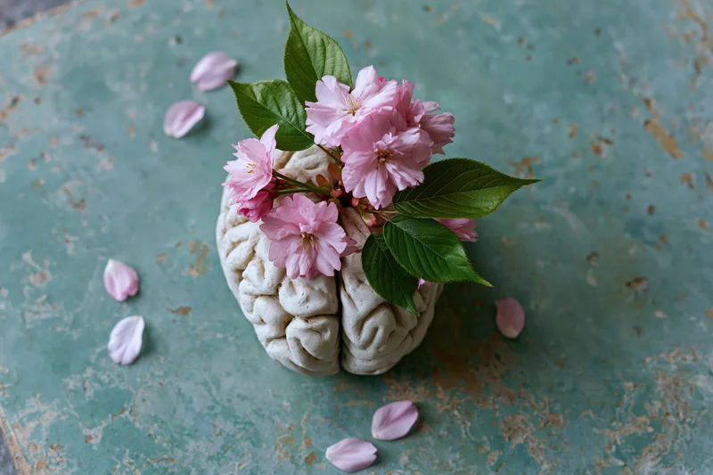 Sculptural human brain model adorned with pink cherry blossoms and green leaves on a weathered teal surface