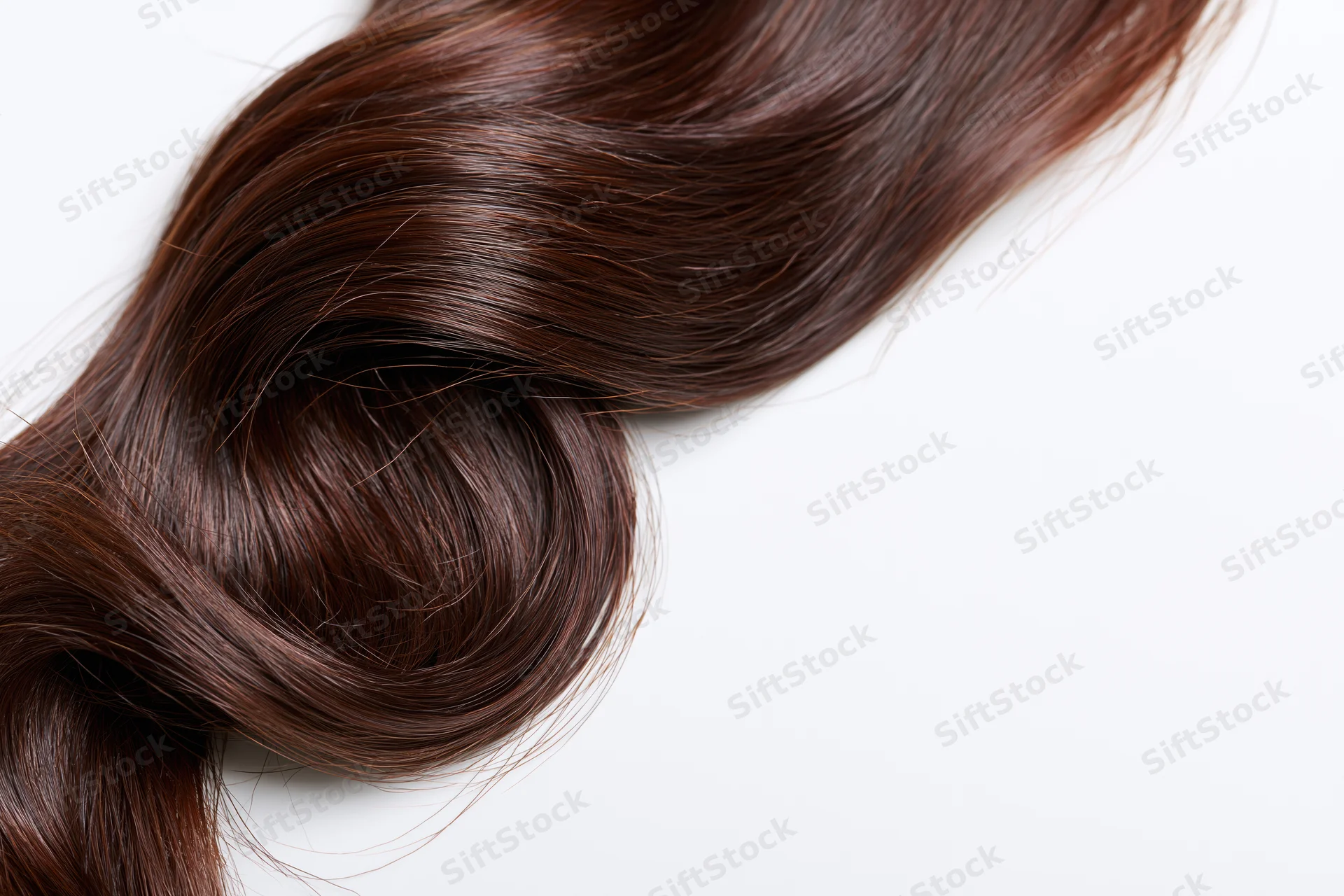 A single loose curl of dark brown hair arranged in an s-wave on a white background