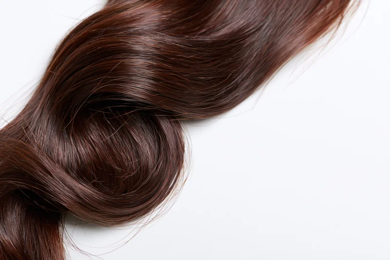 A single loose curl of dark brown hair arranged in an s-wave on a white background