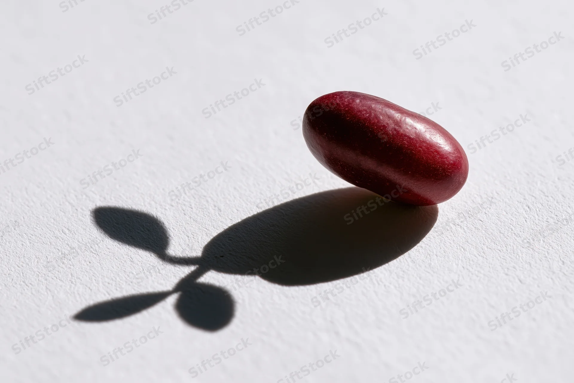 Single red kidney bean resting upright on white surface casting shadow shaped like sprout