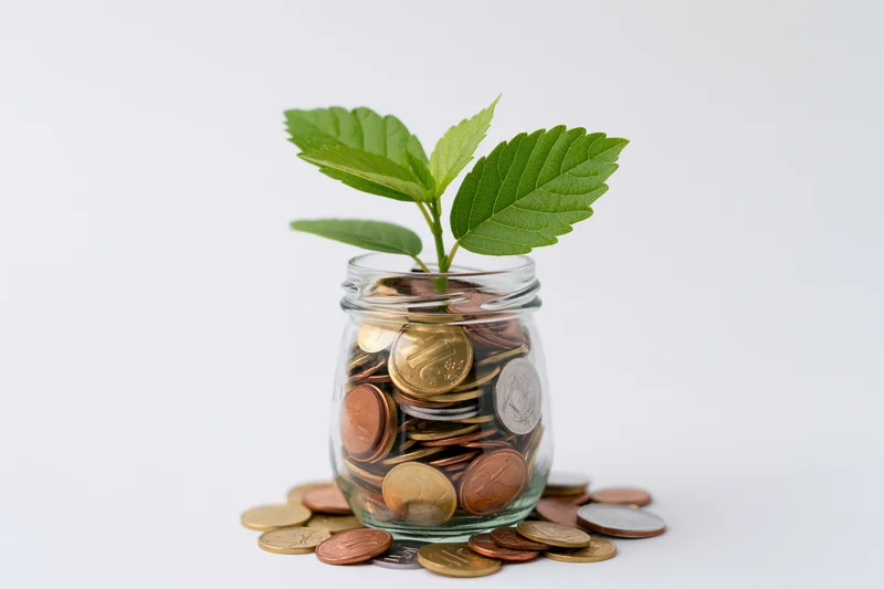 Small green plant sprouting from a glass jar filled with coins on a white surface