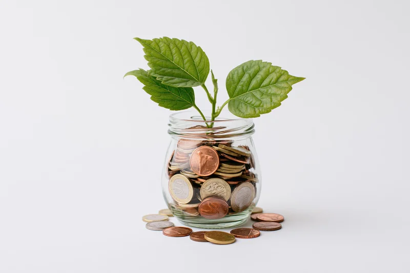 Small green plant sprouting from a glass jar filled with coins on a white surface