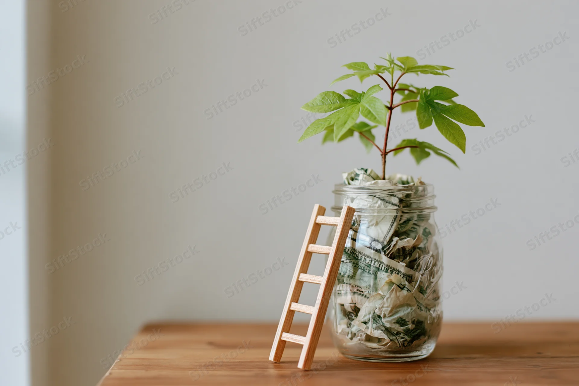 Small green plant growing from a glass jar filled with crumpled dollar bills on a wooden table with a tiny wooden ladder beside it