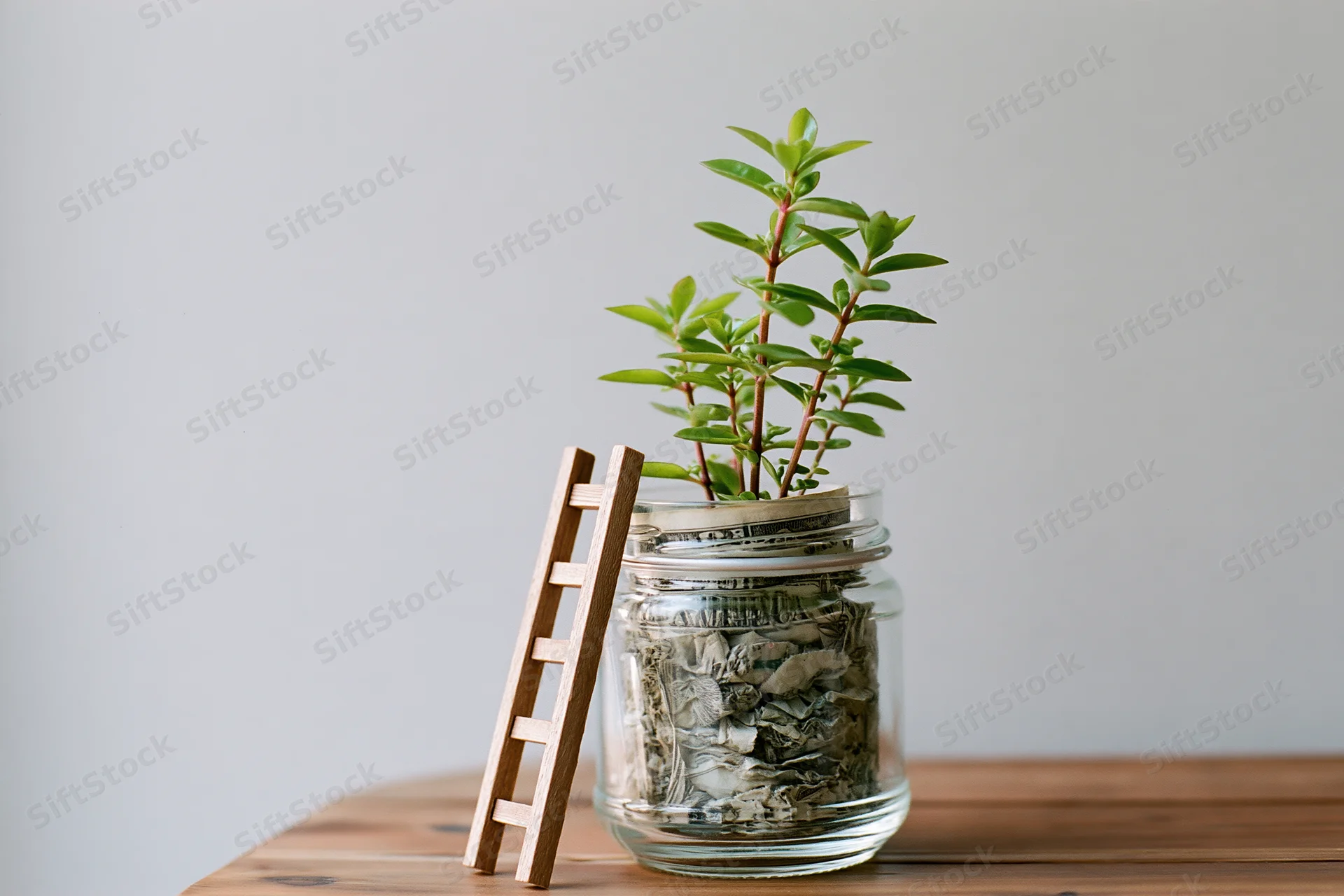 Small green plant growing from a glass jar filled with money on a wooden table with a miniature ladder beside it
