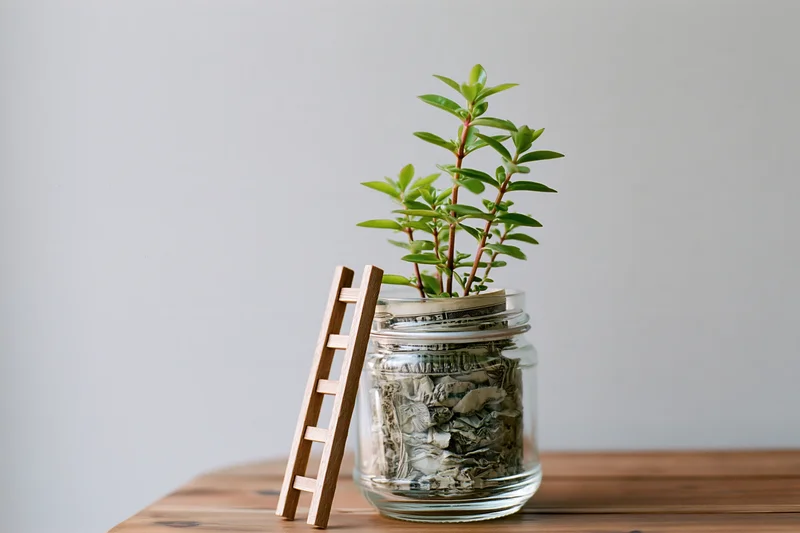Small green plant growing from a glass jar filled with money on a wooden table with a miniature ladder beside it
