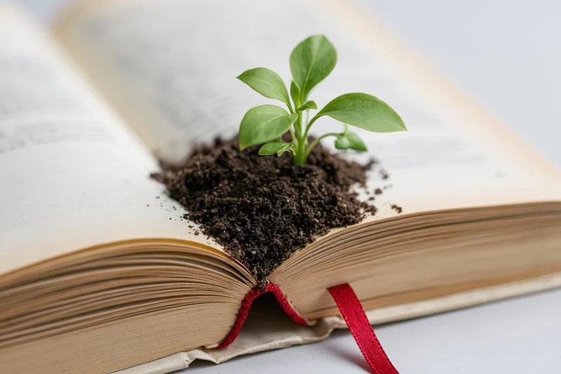 Small green seedling sprouting from soil on open book with red ribbon bookmark